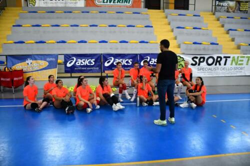 Volley-Shoe-Test-2024-2